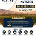Opportunity For Joint Venture For 80 Acres Land In Elhaj East Of Morocco (Fez Region)