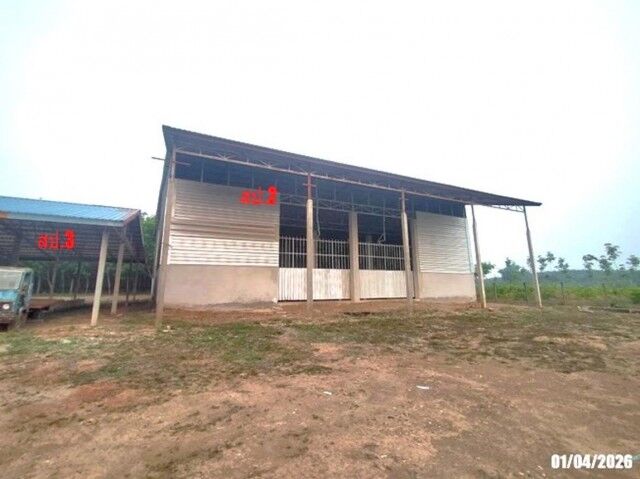 Bangkok, Real Estate For Sale, THB 5506000,  6 BR,  2000 Sq. Feet,  ขายโกดังชั้นเดียว จังหวัดบึงกาฬ 