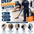 🧹 PROFESSIONAL • RELIABLE • SPOTLESS RESULTS 💙