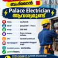 PALACE ELECTRICIAN