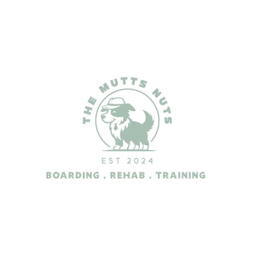 Sydney, Lessons Offered, The Mutts Nuts