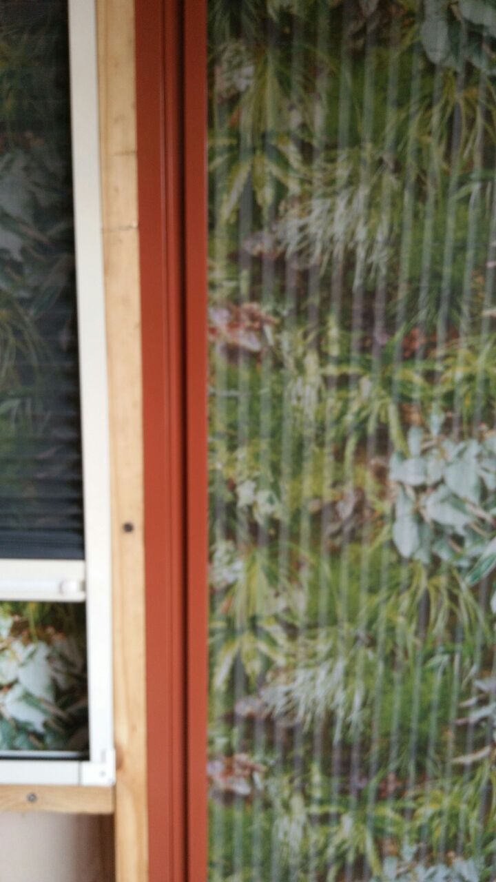 Coimbatore, Household, MOSQUITO NET FROM VFIRST MARKETING SERVICES IN JOTHINAGAR POLLACHI.