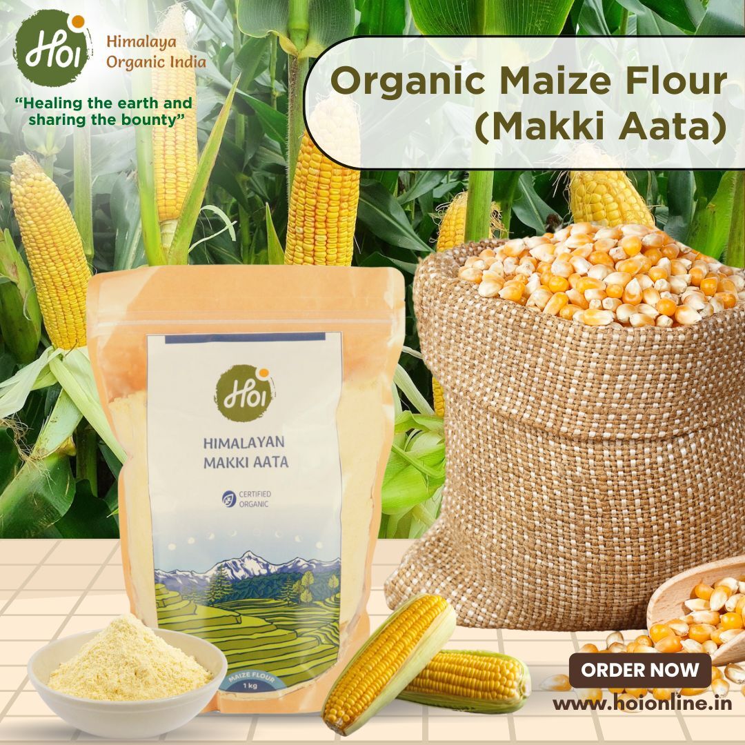 Mumbai, Food & Drink, Organic Maize Flour - Makki Aata Online From HOI