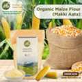 Organic Maize Flour - Makki Aata Online From HOI