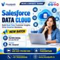 Salesforce Data Cloud Online Training | Join Our New Batch!