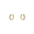Buy Gold Earring For Women Online This Summer Season