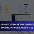 Custom Software Development Services For Mumbai Businesses