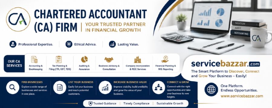 Jaipur, Accounting, Everything A Chartered Accountant Can Actually Do For You