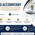Everything A Chartered Accountant Can Actually Do For You
