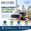 Statewide Employment Counsel For Businesses