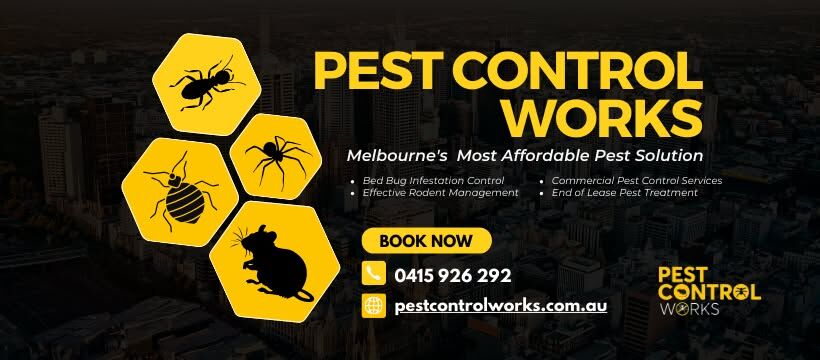 Perth, Cleaning, Pest Control Ascot Vale For Reliable Pest Solutions | Pest Control Works