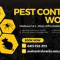 Pest Control Ascot Vale For Reliable Pest Solutions | Pest Control Works