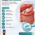 Digestive & Liver Care | Gastroenterologist In Bhubaneswar | Dr. Ashirbad Panda
