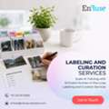 Scale AI Training With EnFuse&rsquo;s Human-in-the-Loop Labeling And Curation Services