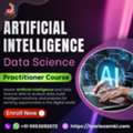 Artificial Intelligence & Data Science Practitioner Course