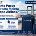 Copa Airlines: Peso Y Cantidad De Maletas Permitidas