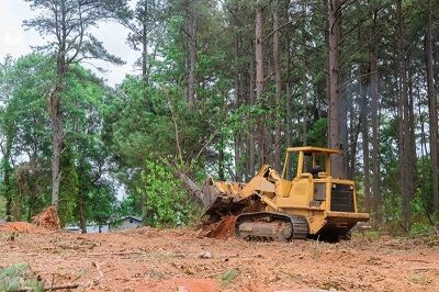New York, Construction, Waco Land Clearing Pros