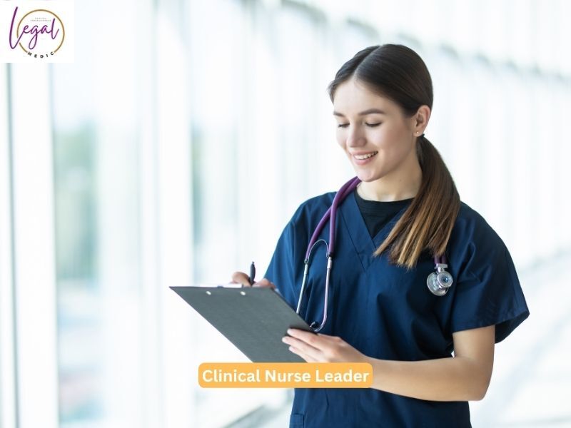 New York, Health, Key Responsibilities Of A Successful Clinical Nurse Leader