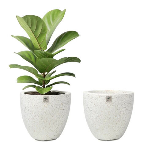 Mumbai, Household Items, Fiberglass Pots For Outdoor Plants | JP Planters