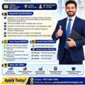 Sales Executive -ELV Systems