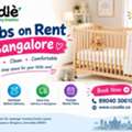 INR 1500,  Cribs On Rent Bangalore