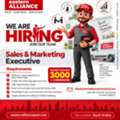 Sales & Marketing Executive
