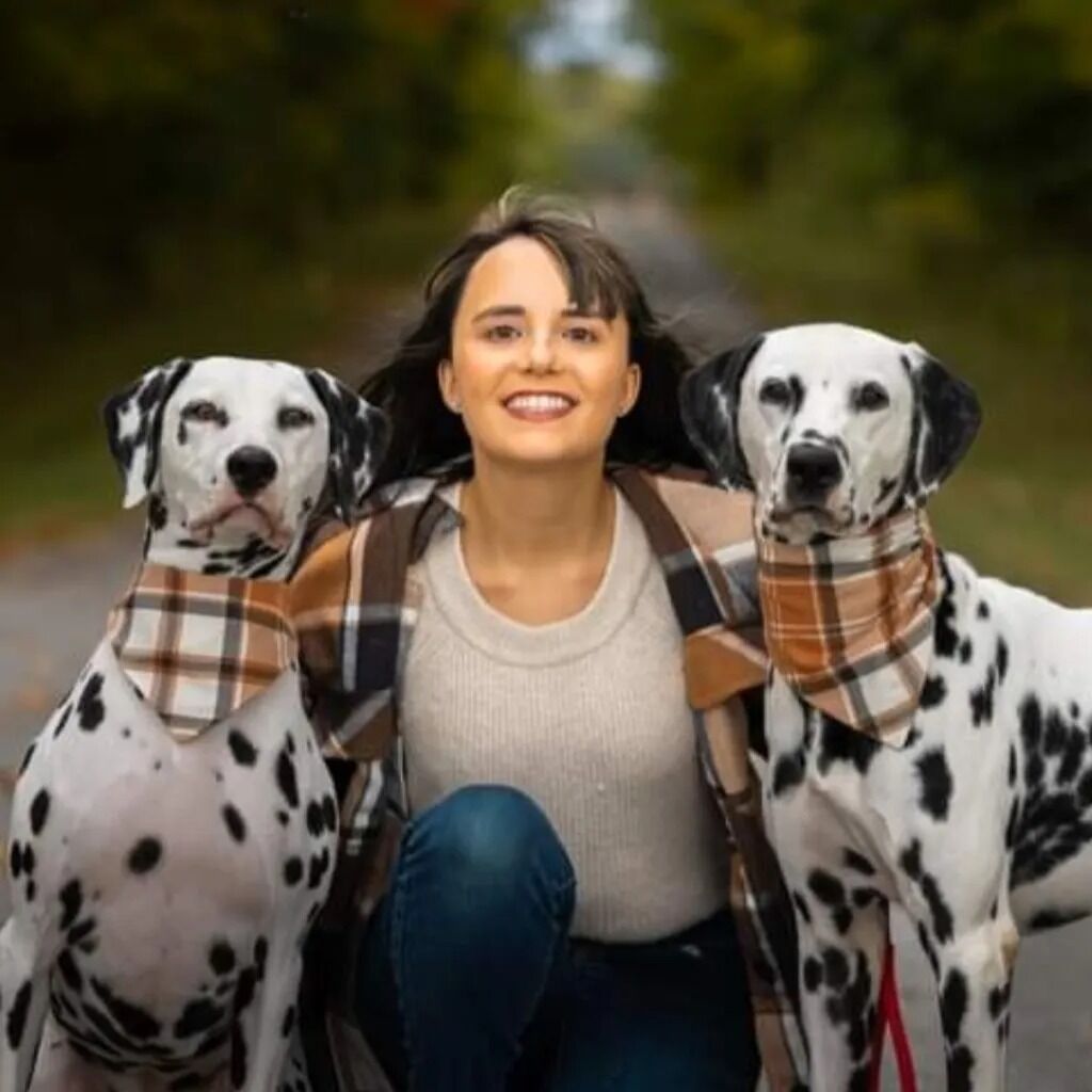 New York, Pet Sitting, Heidt Veterinary Hospital