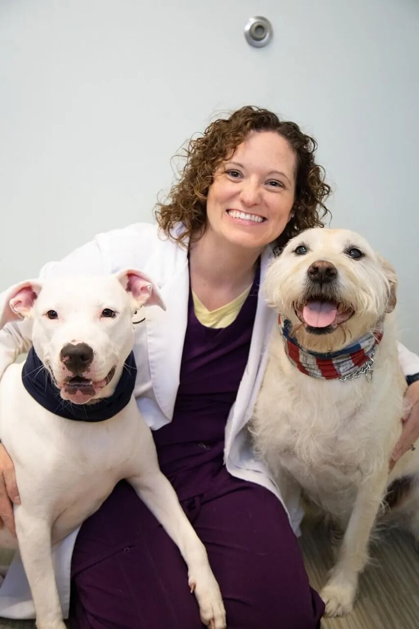 New York, Pet Sitting, Heidt Veterinary Hospital