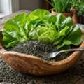 INR 1250,  Lettuce Salad Leaf Microgreen Seeds &ndash; Fresh & Easy To Grow