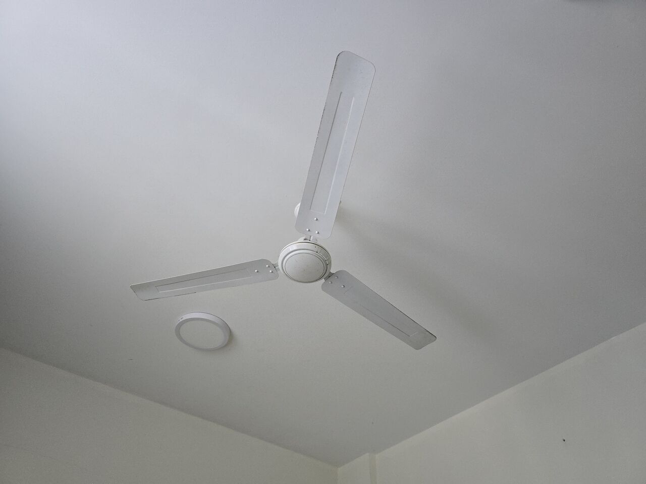 Segaya, Electronics, BHD 6,  Ceiling Fan