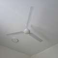 BHD 6,  Ceiling Fan