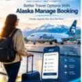 Better Travel Options With Alaska Manage Booking