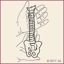 Sydney, Health, Trusted Chiropractor In Margaret River &ndash; Personalised Care For Better Movement