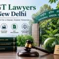 How Can NGT Lawyers In New Delhi Help Environmental Cases?