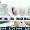 ACCOUNTANT, ESR, EXCISE TAXES