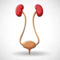 Best Doctor For Non-Surgical Peyronie&rsquo;s Disease Management