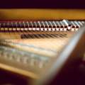 Discover Music Excellence At Bangalore&rsquo;s Premier Piano Academy