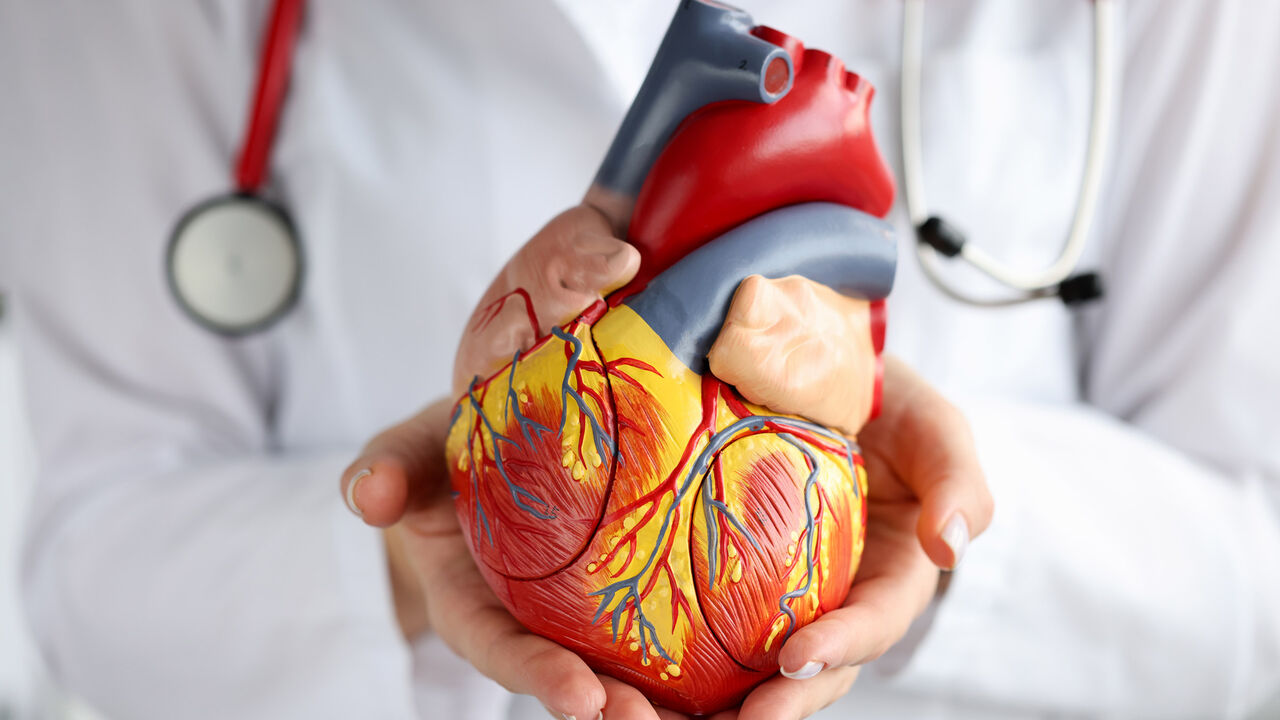 Chandigarh Tricity, Health, Heart Care Hospital Near Me &ndash; Kare Partners Heart Centre