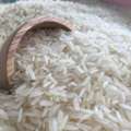 Jasmine Rice Wholesale Distributor Abu Dhabi | Future Food Trading Company LLC