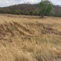 THB 900000,  6 BR,  1000 Sq. Feet,  ขายที่ดินสวย ผังเมืองสีเขียว เนื้