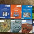 Cambridge AS & A Level And IGCSE / O Level Textbooks & Workbooks