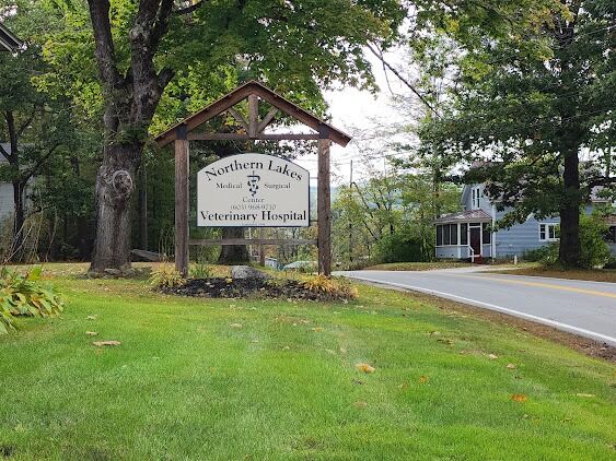 New York, Health, Northern Lakes Veterinary Hospital