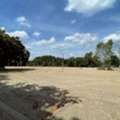 THB 12000,  1000 Sq. Feet,  ให้เช่าที่ดินหนองเหียงพนัสนิคมชล
