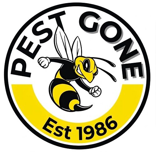 London, Pest Control, Pest Gone