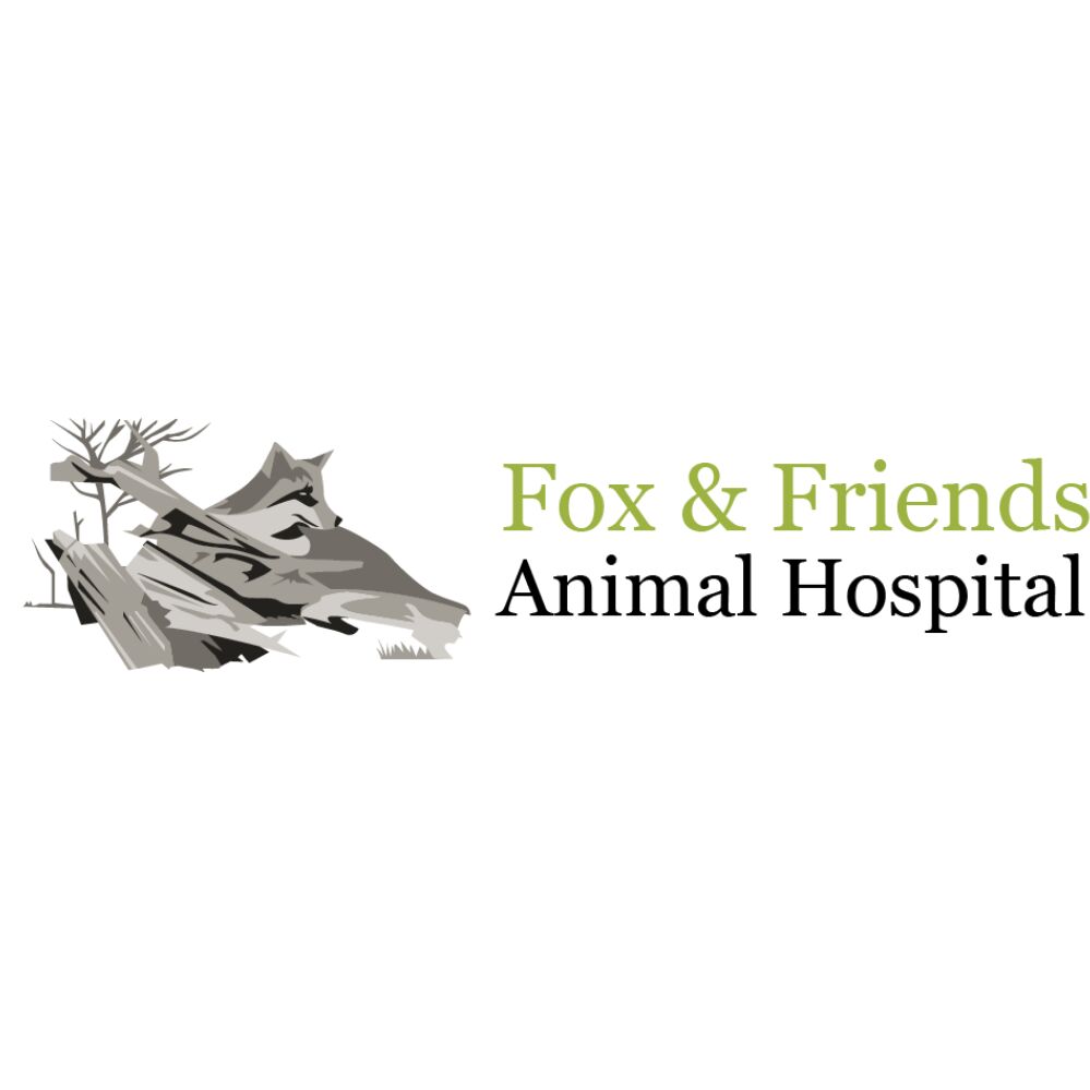 New York, Job Seekers, Fox & Friends Animal Hospital