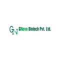 Building Opportunities With Pharma Franchise Company In India