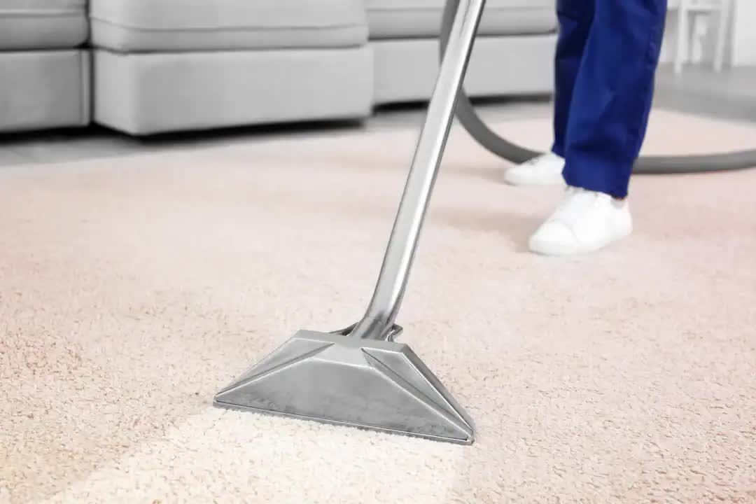 Sydney, Cleaning, Gardening Services Southern Adelaide