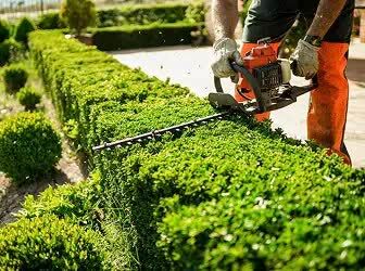 Sydney, Cleaning, Gardening Services Southern Adelaide