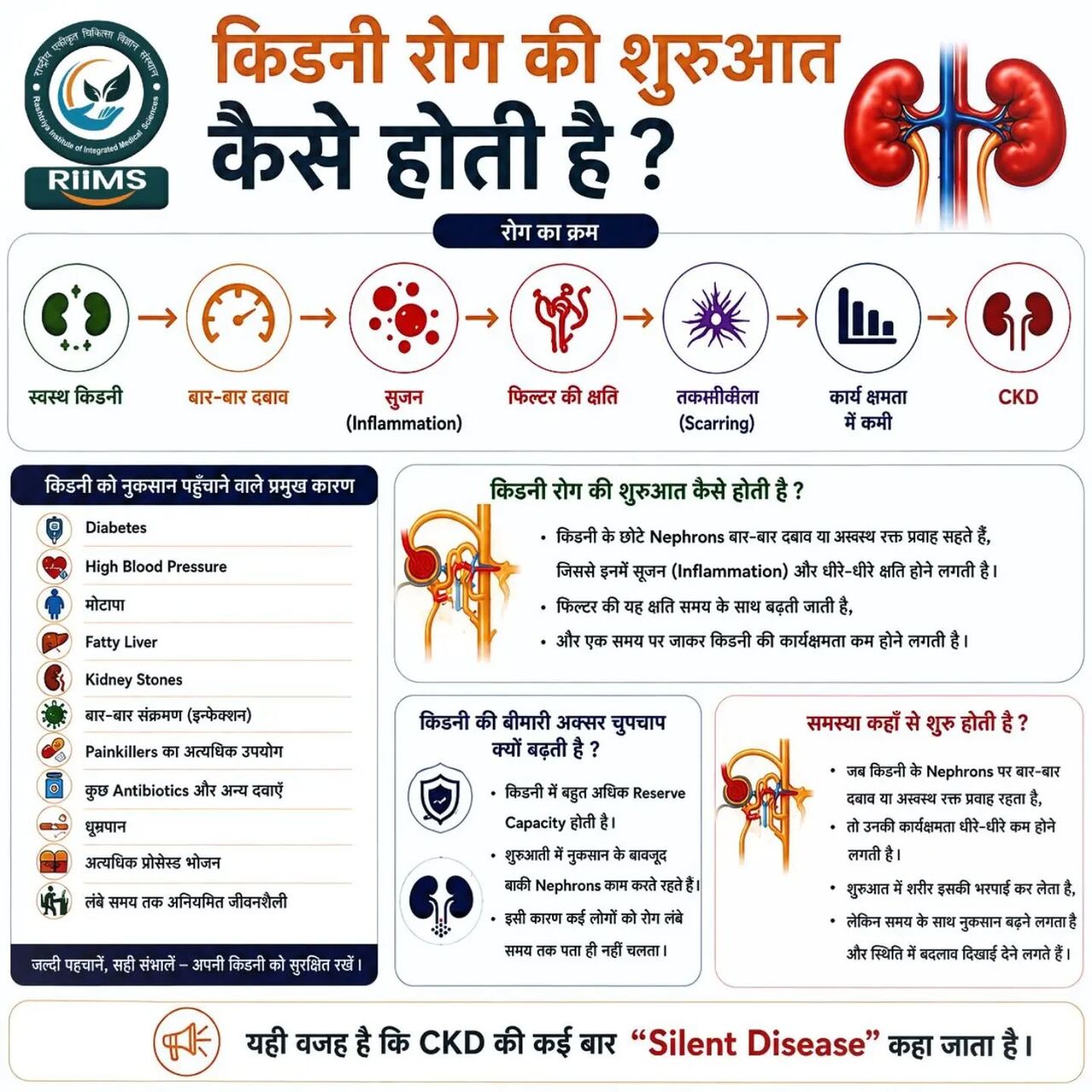 New Delhi, Health, Kidney Specialist In Delhi NCR