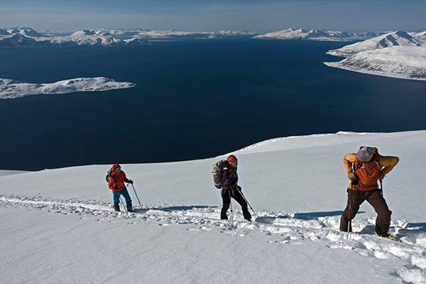 Oslo, Business, Experience Arctic Ski Touring In Northern Norway